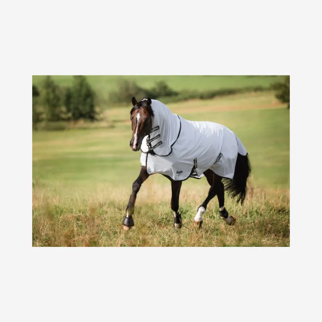 Produktbild - 2026-03-17T095024.990.webp