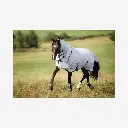 Produktbild - 2026-03-17T095024.990.webp