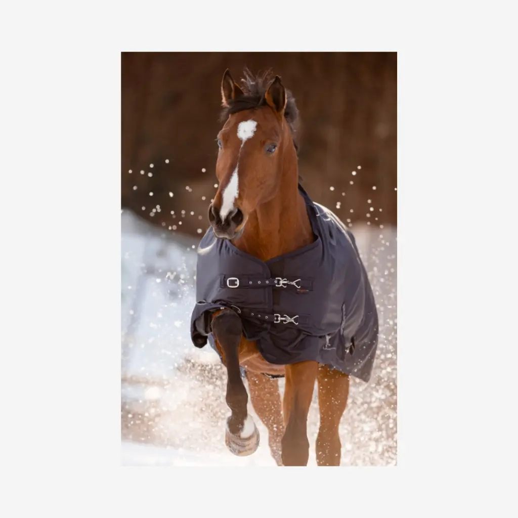 Produktbild - 2026-03-18T115316.967.webp