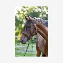 Produktbild - 2026-03-18T132642.158.webp