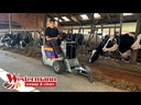 youtube - [Video]