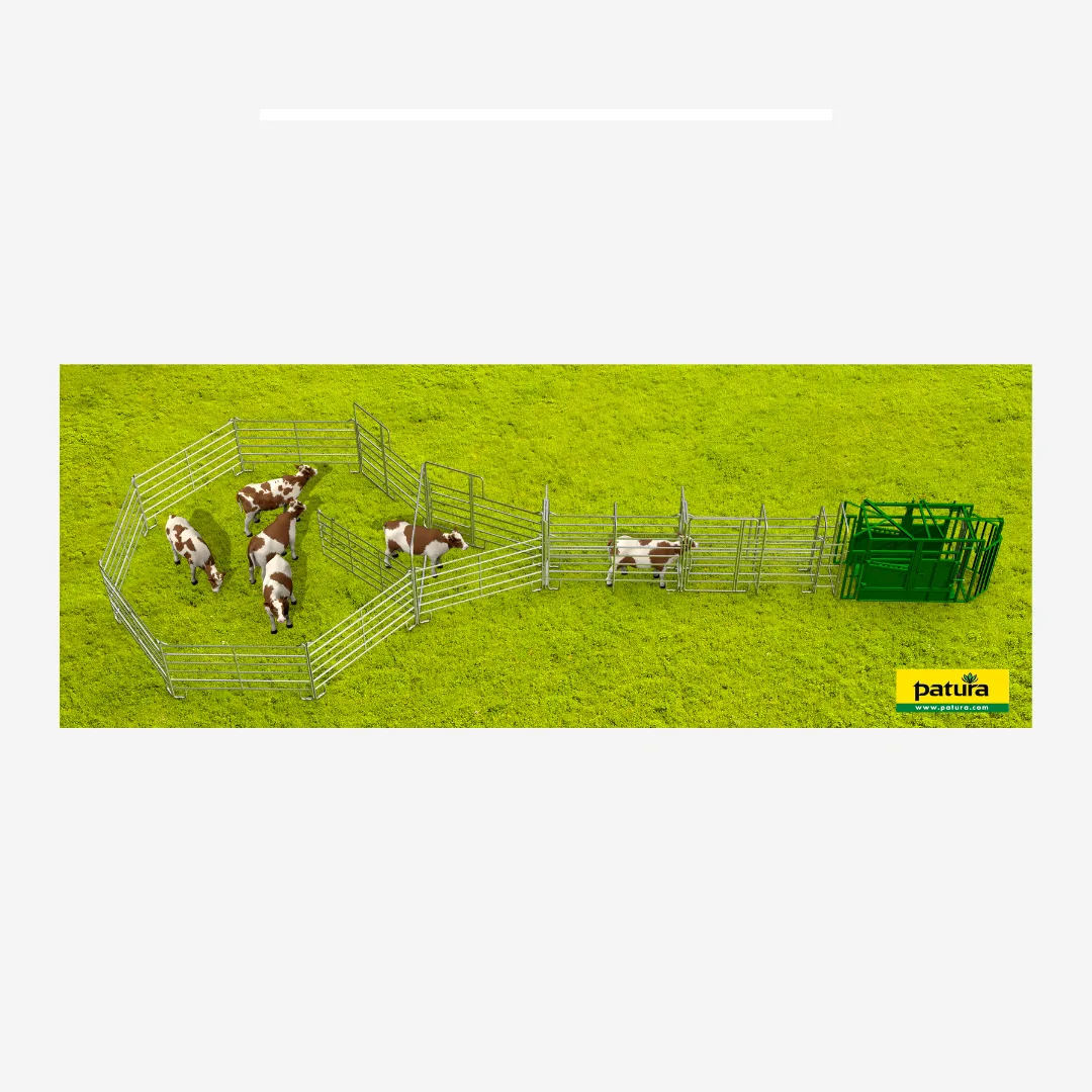 Set Standard-Behandlungsanlage für mittlere bis große Tierbestände