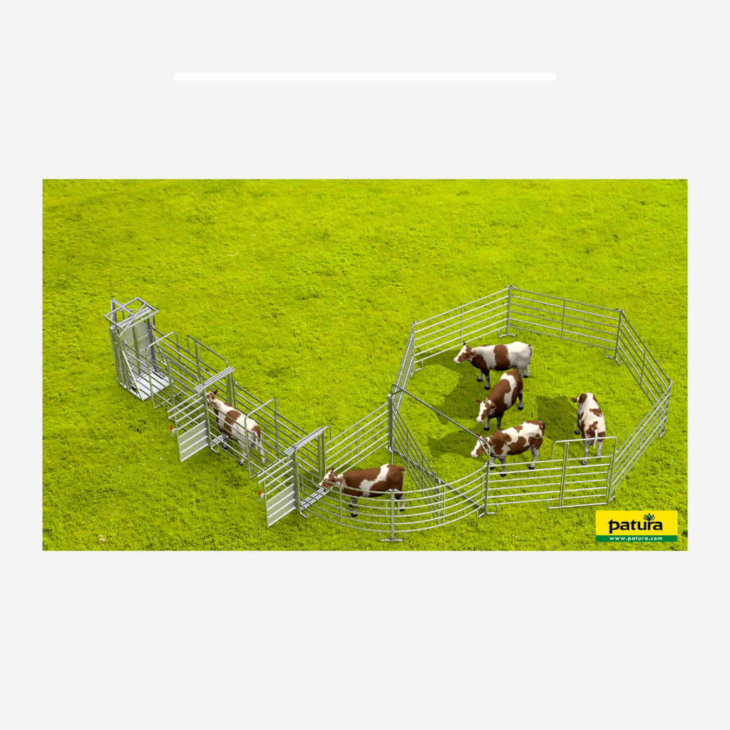 Set Behandlungsanlage für kleinere Tierbestände