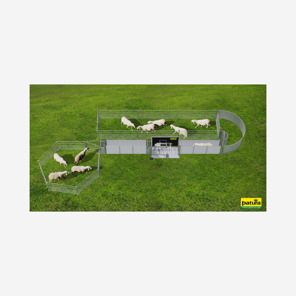 Set Komplettanlage mit Behandlungsstand zum Fangen, Behandeln und Sortieren von Schafen