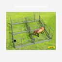 4-Fach Box Profi mit Sicherheits-Pferdepaneln
