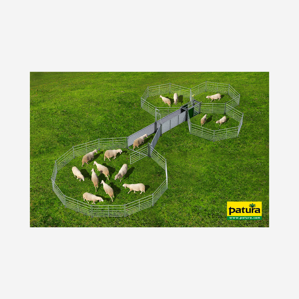 Set Komplettanlage mit Sortierstand zum Fangen, Behandeln und Sortieren von Schafe