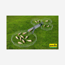 Set Komplettanlage mit Sortierstand zum Fangen, Behandeln und Sortieren von Schafe